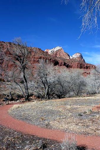 Zion National Park-zion-02.jpg