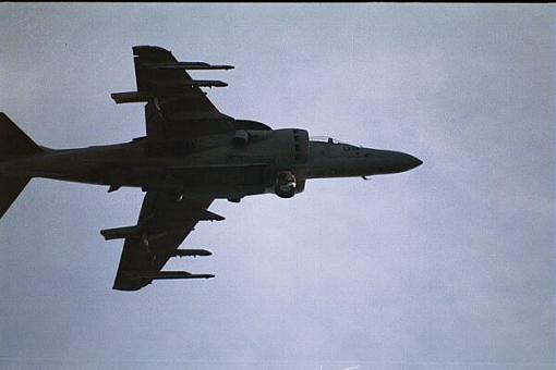 The Near Miss Thread-harrier-cut-off.jpg