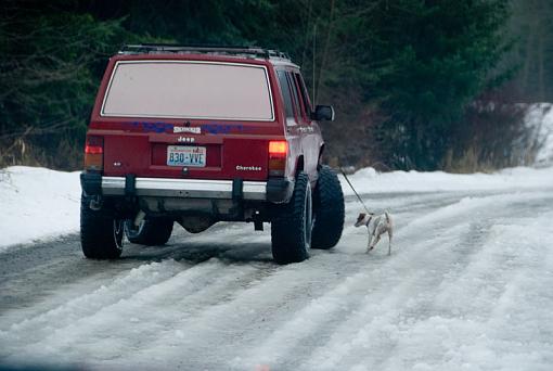 Walking the dog-2008-12-27_2875.jpg