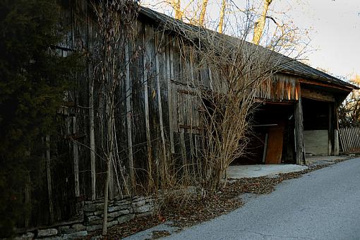 Afternoon Walk About-dsc_2691-2-800.jpg