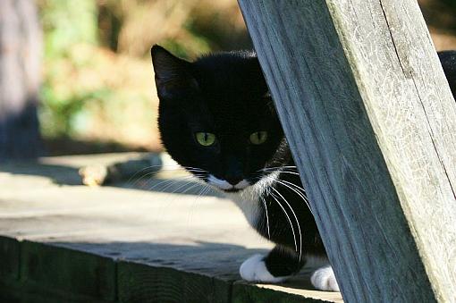 A break from winter-groucho-outside.jpg