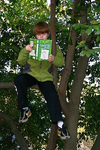 Cute Kid Thread 2008-drew-tree.jpg