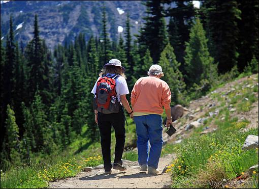 Capture a Stranger-mt-rainier.jpg