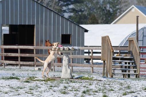 A Few Snow Shots From Coastal NC-lightning-001.jpg