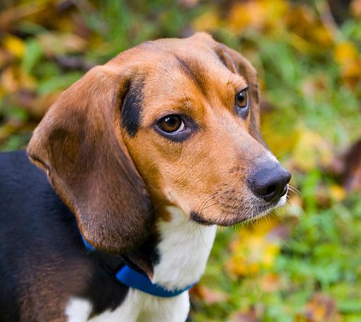 Found a forever home for Frodo...-img_2972_edited-3.jpg