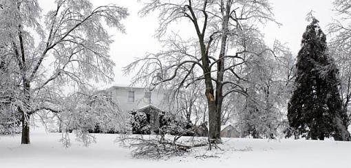 Snow and Ice-fallenlimbs.jpg