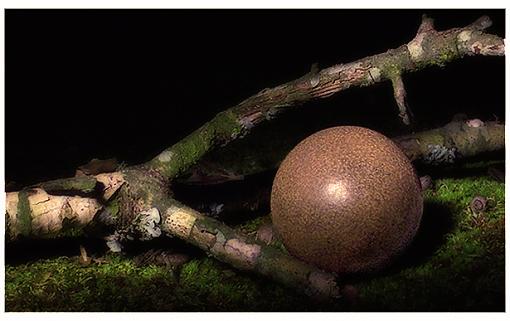 Still Life: twig, moss, ball of dirt...-dorodango1.jpg