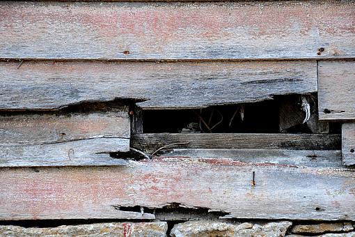 Weathered, Battered and Neglected-dsc_5653-2-800.jpg