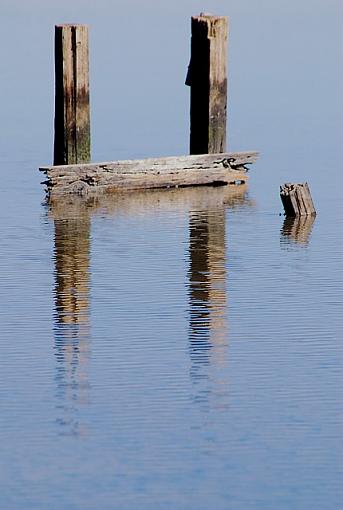 Weathered, Battered and Neglected-shoreline-park.dsc_0201.jpg