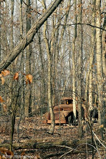 Weathered, Battered and Neglected-old-weathered-battered.jpg