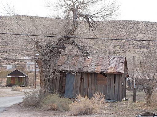 Weathered, Battered and Neglected-img_3689.jpg