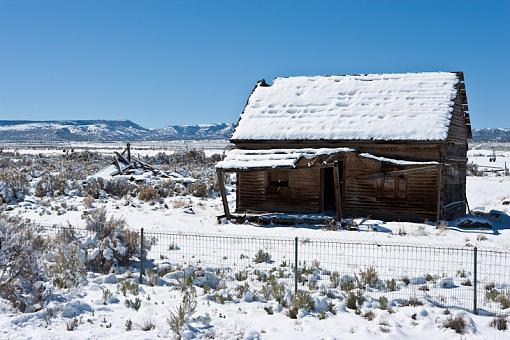 Weathered, Battered and Neglected-_v9w2564.jpg