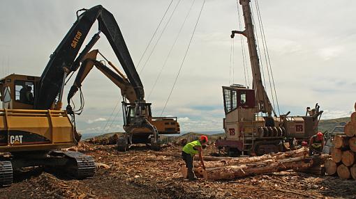 At work the other day-thunderbird.jpg