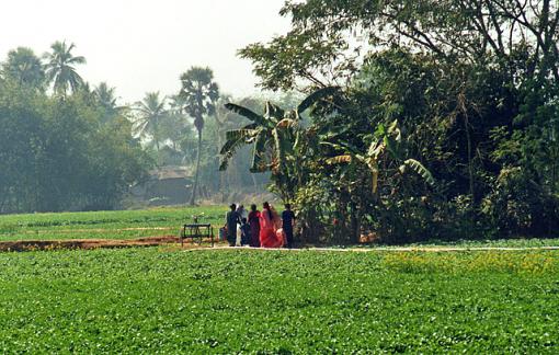 India - across Bengal-india-03-j.jpg