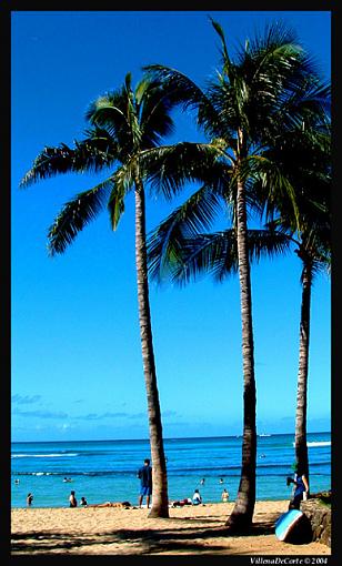 Back from Aloha State :)-three-palms.jpg