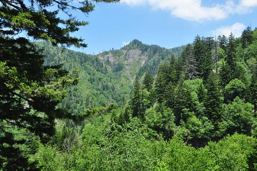 a few shots from The Smokey Mnts.-dsc_0122-copy.jpg