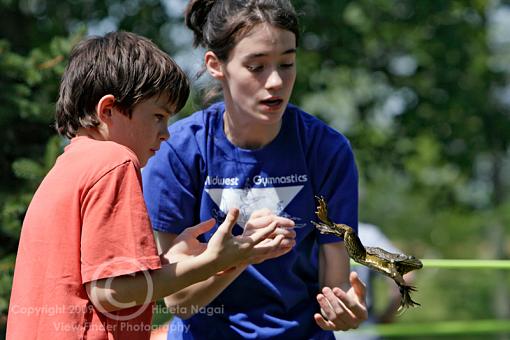 Frog Jumping Festival-frog-jumping-1-4.jpg