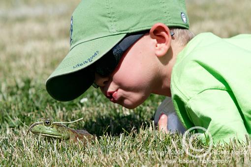 Frog Jumping Festival-frog-jumping-2-1.jpg