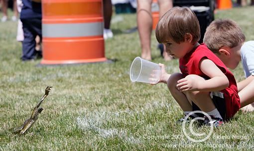 Frog Jumping Festival-frog-jumping-3-3.jpg