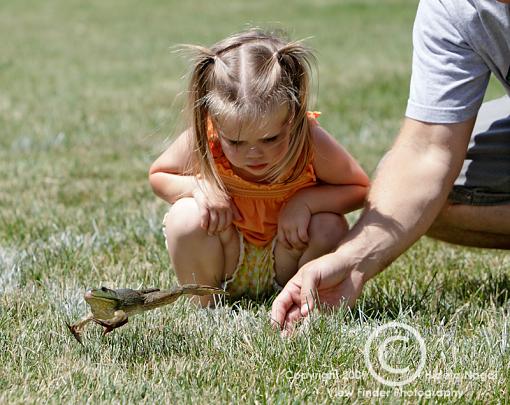 Frog Jumping Festival-frog-jumping-3-5.jpg