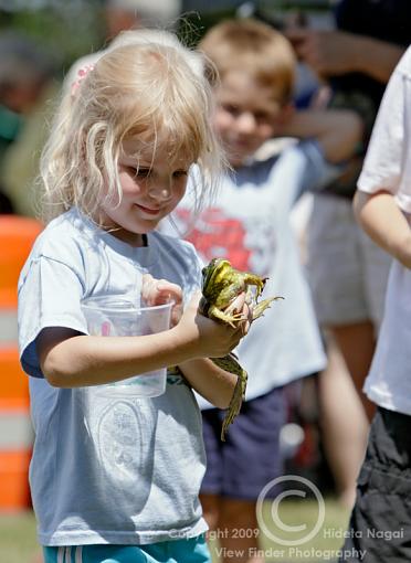 Frog Jumping Festival-frog-jumping-4-2.jpg