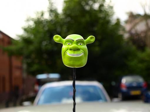 Shrek is alive and well and living in Northumberland-shrek.jpg