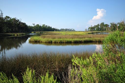 A walk in nature-dsc_1013-copy.jpg