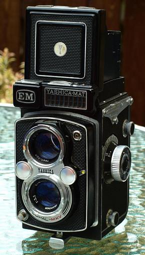 A pair of beauties NSFW-yashicamat.jpg