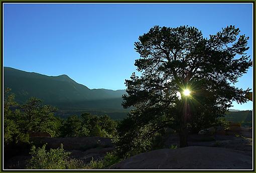 A couple from The Garden of the Gods Park-_dsc3843-sunset-tree-2-preview.jpg