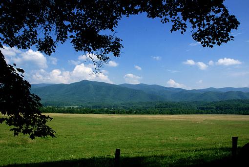 A few from Cades Cove in Tenn.-dsc_2277-copy.jpg