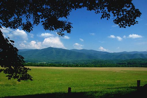 A few from Cades Cove in Tenn.-dsc_2277-copy.jpg-2.jpg