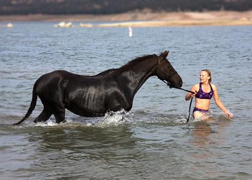 Bareback Rideing in a lake/ first time..-horse-11-.jpg