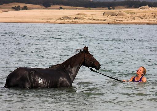 Bareback Rideing in a lake/ first time..-horse-9-.jpg