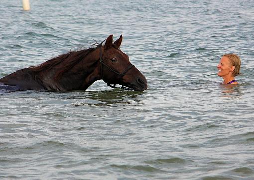 Bareback Rideing in a lake/ first time..-horse-3-.jpg