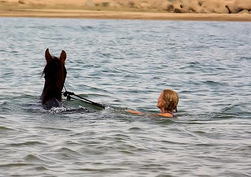 Bareback Rideing in a lake/ first time..-horse-2-.jpg
