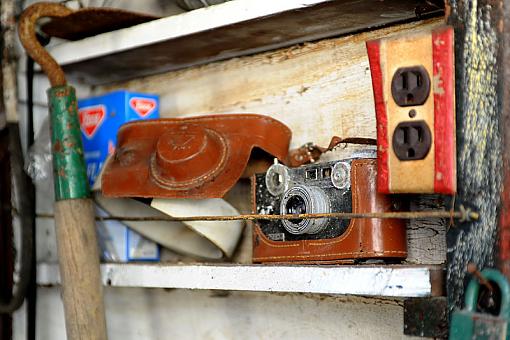 Cleaning Out the Garage-dsc_4454-2-800.jpg