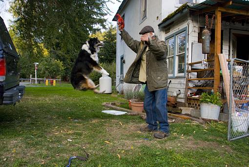 Sadie's fun and the neighbor's dismay!-dsc_0967_4059.jpg