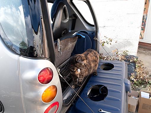 mechanic's assistant-_a163338.jpg