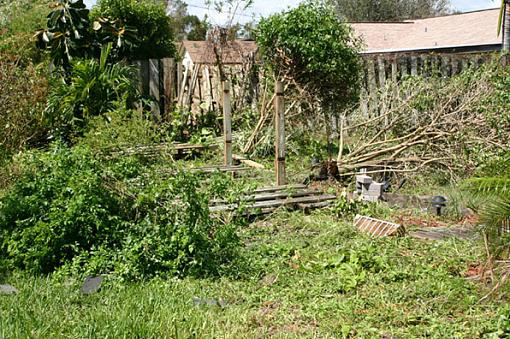 Storm Damage from Hurrinace Francis-frances11.jpg