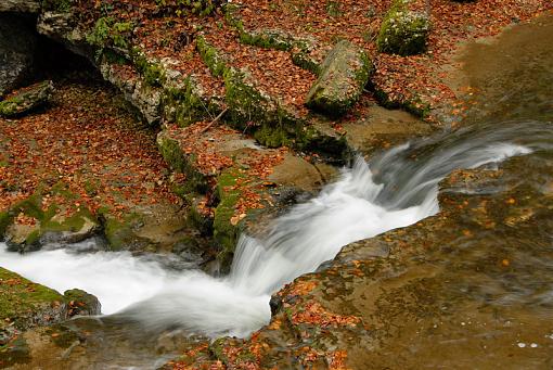 Fall Foliage Photo Gallery-4013-028.jpg