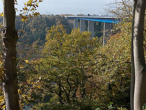Autumn colours-_1030569.jpg