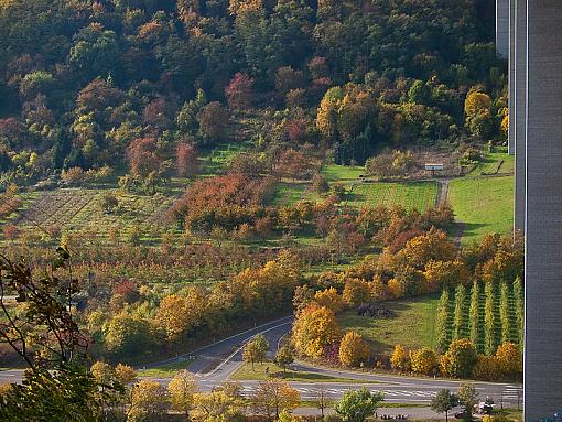 Autumn colours-_a263593.jpg