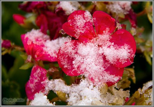 First Snow At PJHQ-_mg_1889.jpg