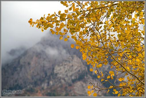 Fall Foliage Photo Gallery-_mg_1709.jpg