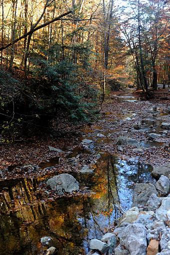 Fall Foliage Photo Gallery-dsc_5674-2c-800.jpg