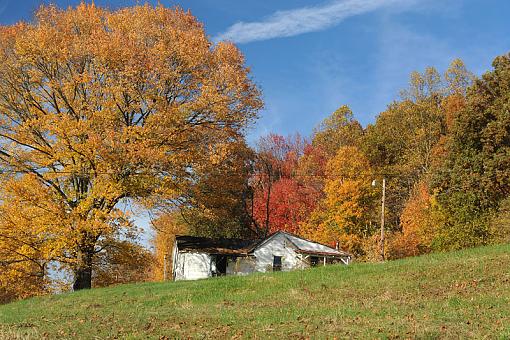 Fall Foliage Photo Gallery-dsc_5730-2-800.jpg