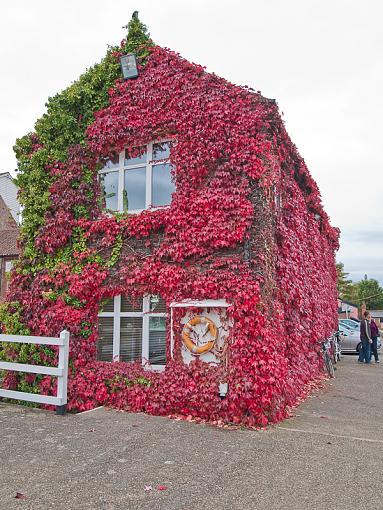 Fall Foliage Photo Gallery-_a032070.jpg