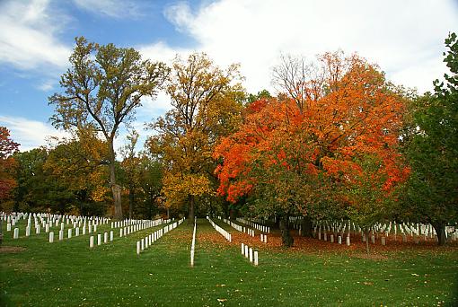 Fall Foliage Photo Gallery-arlington-3.jpg