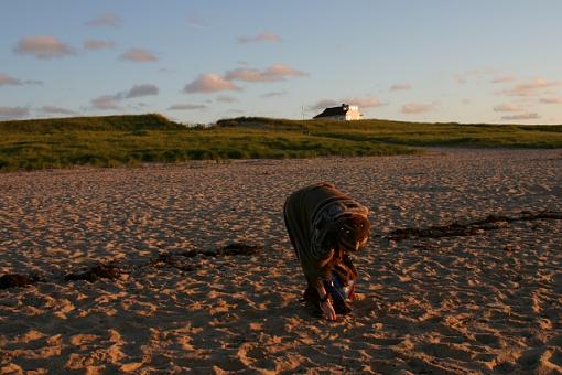 since I probably don't post enough... (cape cod)-capecod2.jpg