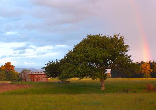 Summer shower-evening-shower.jpg